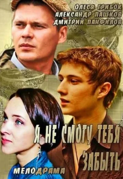 Я не смогу тебя забыть» (2013) Я не смогу тебя забыть» (2013)