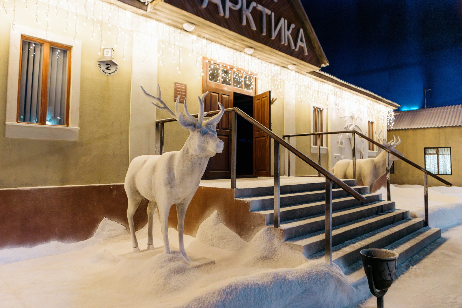 Начались съемки семейного фильма «Умка»